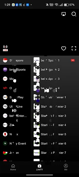 Netfly Mobile download and installation screen